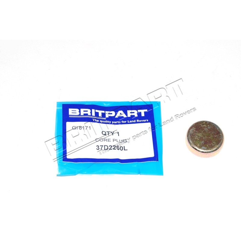 Pastille de Dessablage du Bloc Moteur