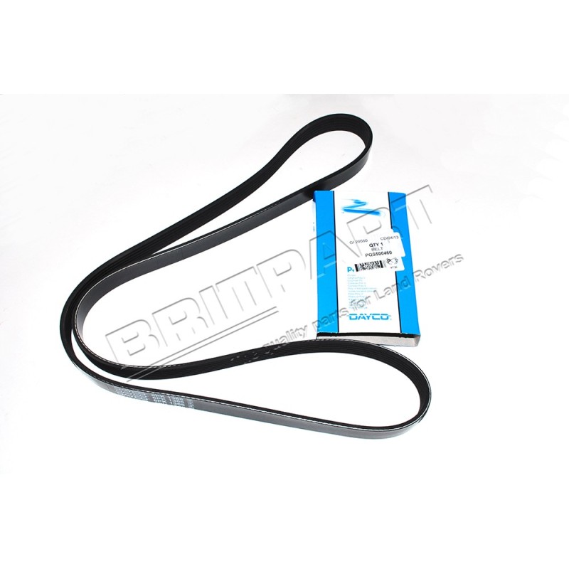 Courroie Secondaire DAYCO d'Accessoires