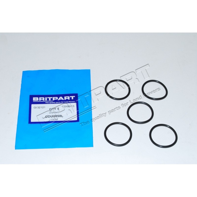 Joint Torique du Thermostat