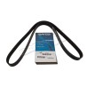 Courroie DAYCO d'Accessoires