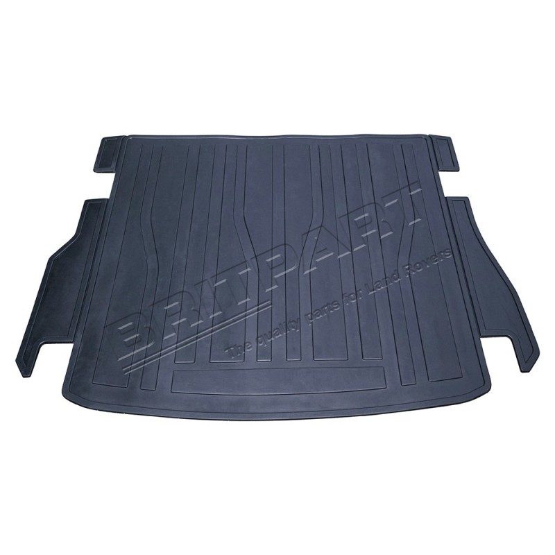 Tapis de Coffre pour : EVOQUE 1