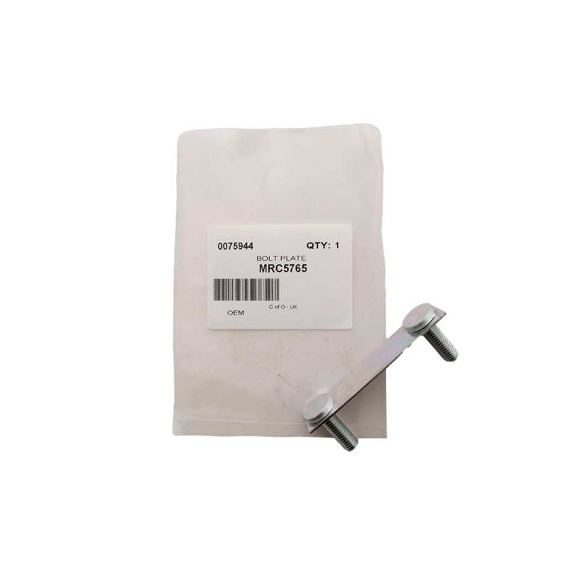 Plaque à Goujon du Seuil de Porte