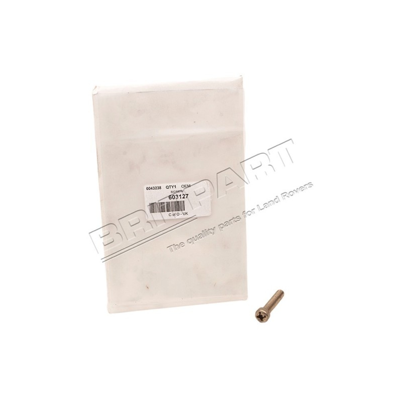 Vis du Cache Culbuteur 