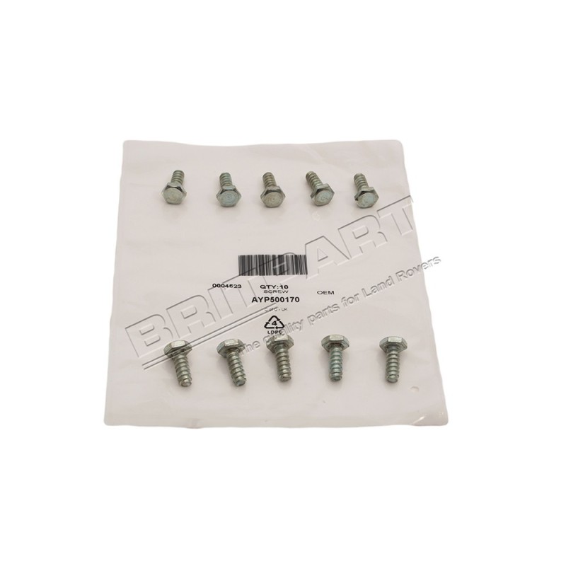 Vis du Panneau Avant d'Aile