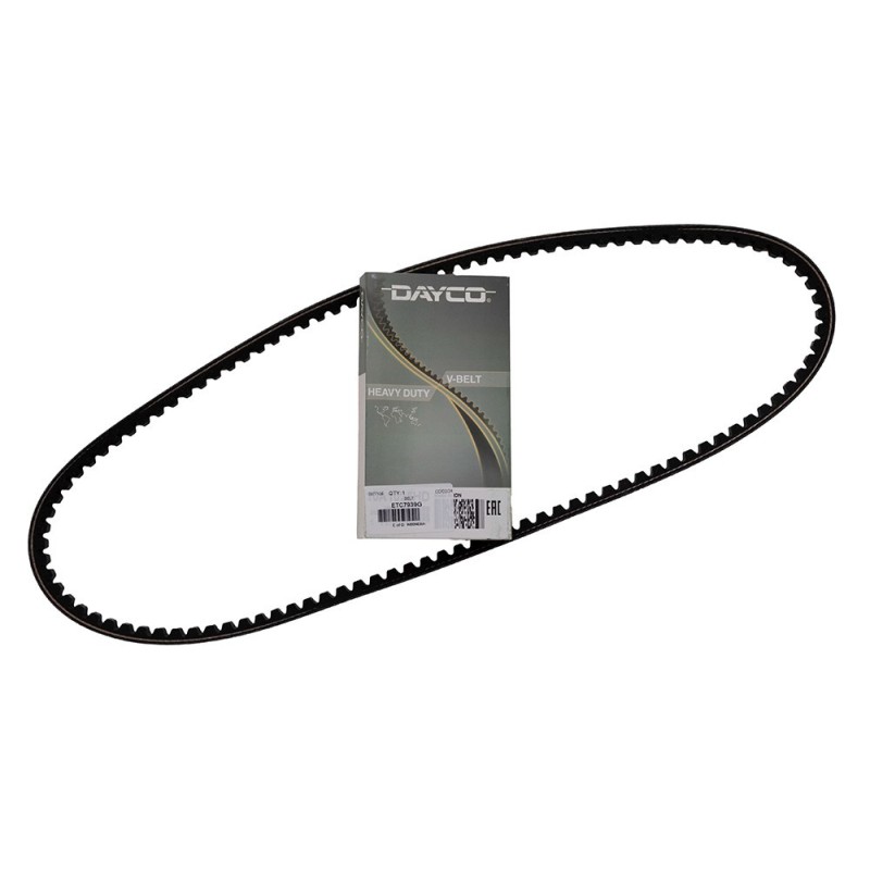 Courroie DAYCO d'Alternateur 