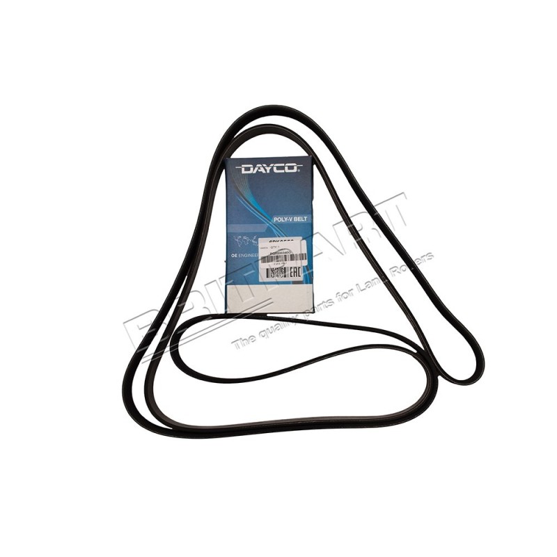 Couroie DAYCO Primaire d'Accessoires avec ACE