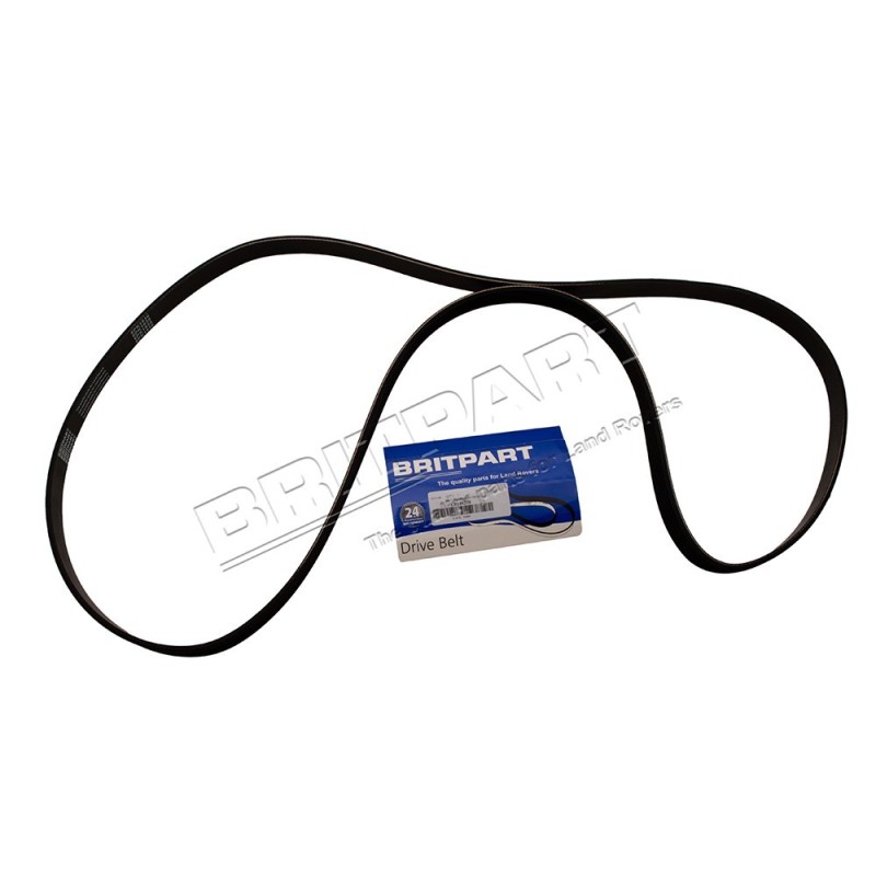 Courroie d'Accessoire ADAPTABLE