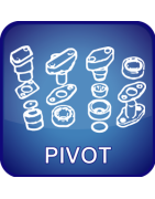 Pivot