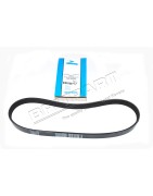 Courroie d'Accessoires