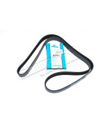 Courroie d'Accessoires