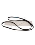 Courroie d'Accesoires