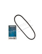 Courroie d'Accessoires