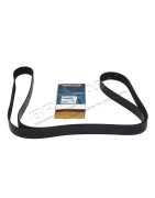 Courroie d'Accessoires