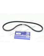 Courroie d'Accessoires