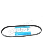 Courroie d'Accessoires