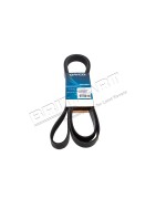 Courroie d'Accessoires