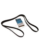 Courroie d'Accessoires