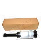 Amortisseur - Ressort