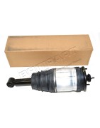 Amortisseur - Ressort