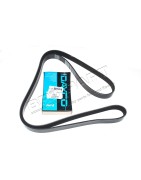 Courroie d'Accessoires