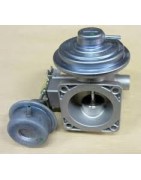 Vanne EGR - Collecteur Adm/ Éch