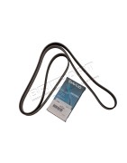 Courroie d'Accessoires