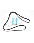 Courroie d'Accessoires