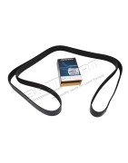 Courroie d'Accessoires