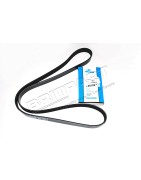 Courroie d'Accessoires