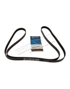 Courroie d'Accessoires