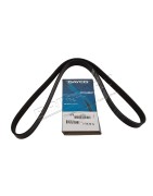 Courroie d'Accessoires